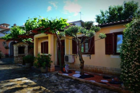 Apartmani Petar Stojnić